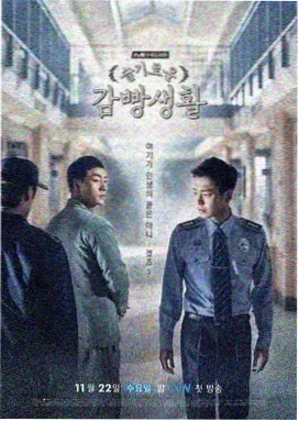 tv cover